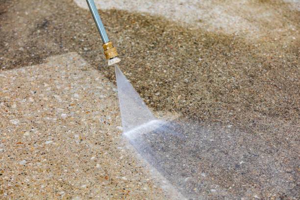 Best Dumpster Area Cleaning  in Mango, FL