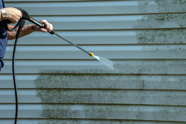 Best Solar Panel Cleaning  in Mango, FL