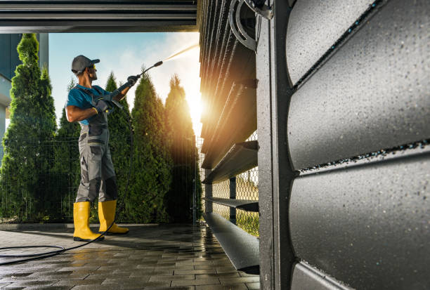 Best Driveway Pressure Washing  in Mango, FL