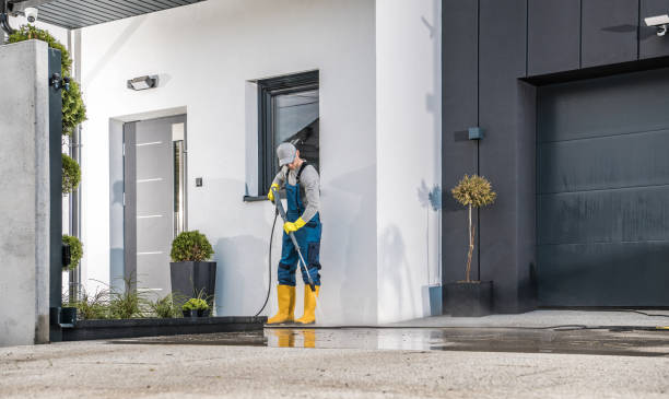 Best Soft Washing  in Mango, FL